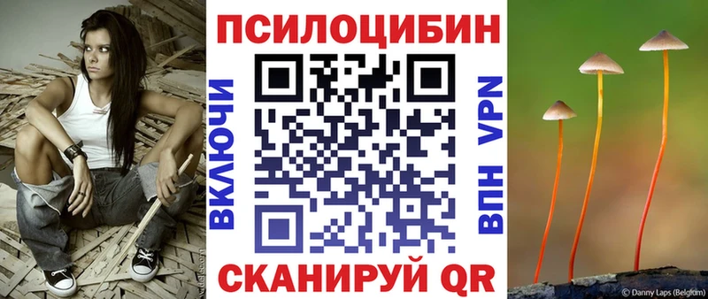 Псилоцибиновые грибы Psilocybine cubensis Яранск